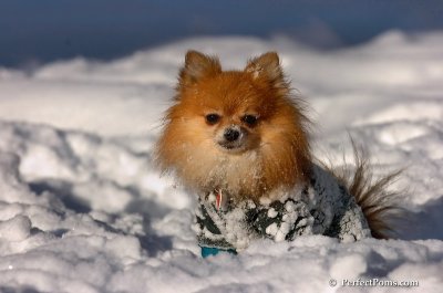 Feb7_08_551.JPG