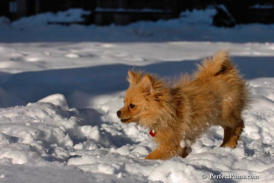 Feb7_08_554.jpg