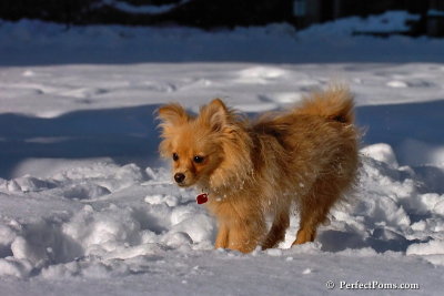 Feb7_08_555.jpg