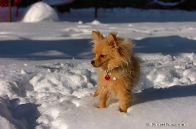 Feb7_08_558.JPG