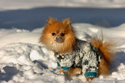 Feb7_08_561.JPG