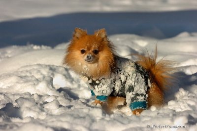 Feb7_08_562.JPG