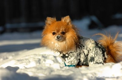 Feb7_08_563.JPG