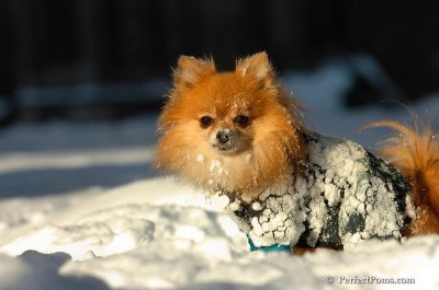 Feb7_08_564.JPG