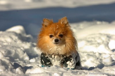 Feb7_08_565.JPG