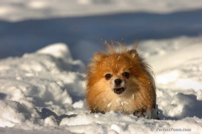 Feb7_08_566.JPG
