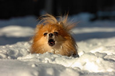 Feb7_08_569.JPG