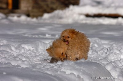 Feb7_08_324.jpg