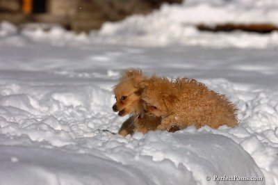 Feb7_08_325.jpg