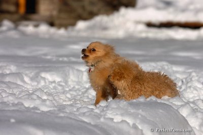 Feb7_08_326.jpg