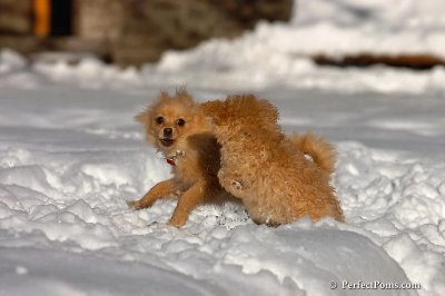 Feb7_08_327.jpg