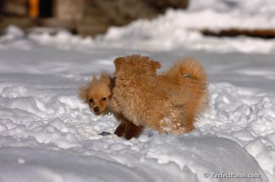 Feb7_08_328.jpg