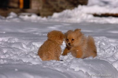 Feb7_08_329.jpg