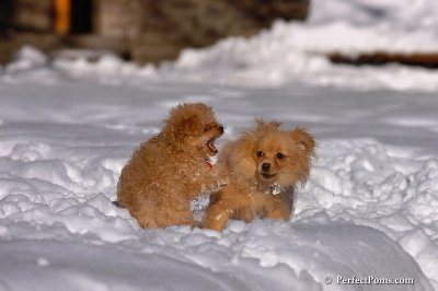 Feb7_08_330.jpg