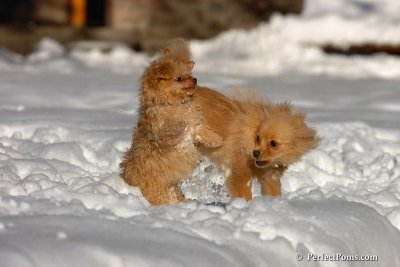 Feb7_08_332.jpg