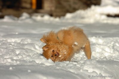 Feb7_08_333.jpg
