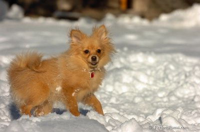 Feb7_08_334.JPG