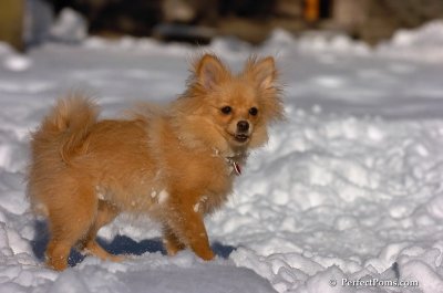 Feb7_08_335.JPG