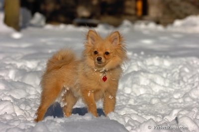 Feb7_08_337.JPG