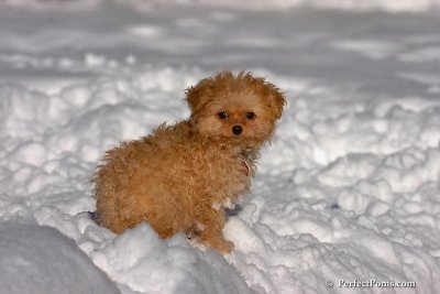 Feb7_08_340.jpg