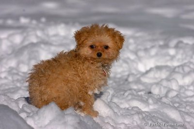 Feb7_08_341.jpg