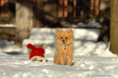 Feb7_08_357.jpg