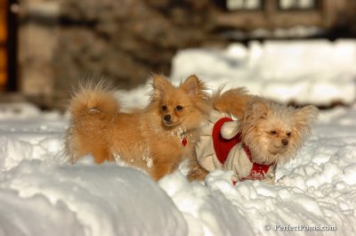 Feb7_08_366.JPG