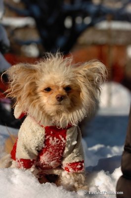 Feb7_08_373.JPG