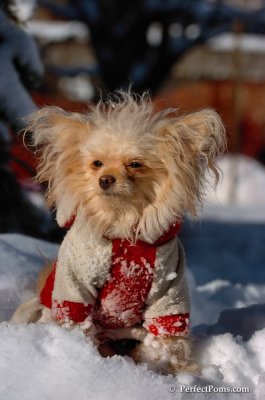 Feb7_08_377.JPG