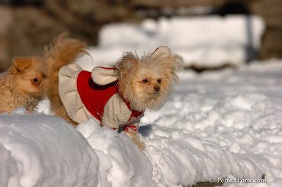 Feb7_08_379.JPG