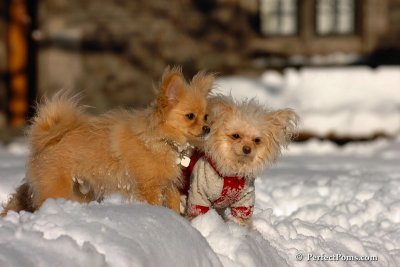 Feb7_08_380.jpg