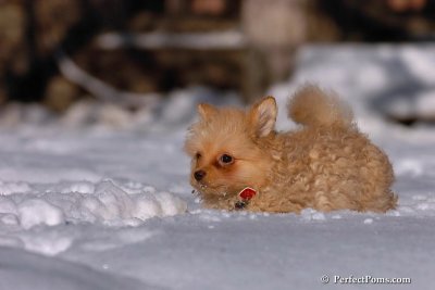 Feb7_08_383.jpg