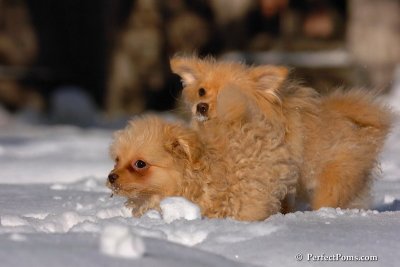Feb7_08_386.jpg