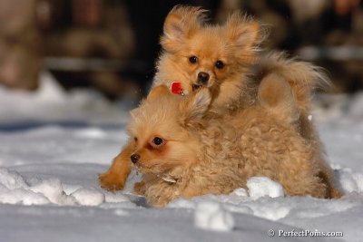 Feb7_08_387.jpg