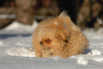 Feb7_08_388.jpg