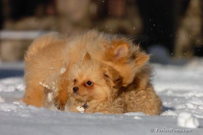 Feb7_08_389.jpg