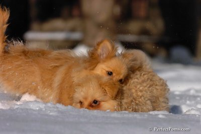 Feb7_08_390.jpg