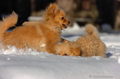 Feb7_08_391.JPG