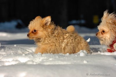 Feb7_08_394.JPG