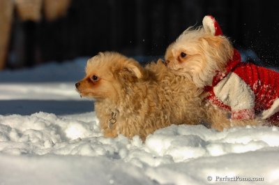 Feb7_08_397.JPG