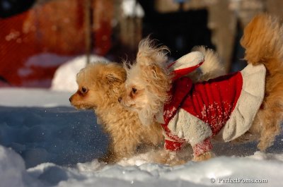Feb7_08_398.JPG