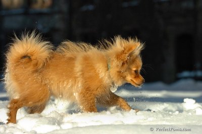 Feb7_08_399.jpg