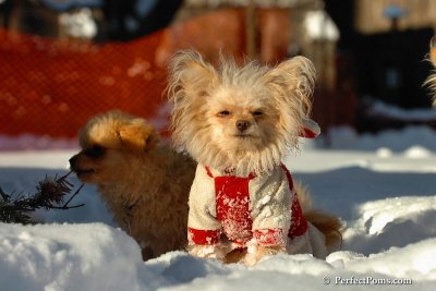Feb7_08_401.jpg