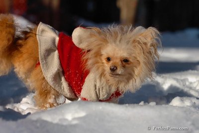 Feb7_08_406.jpg