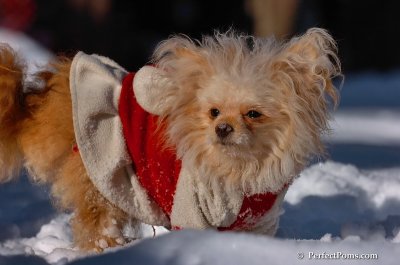Feb7_08_407.JPG