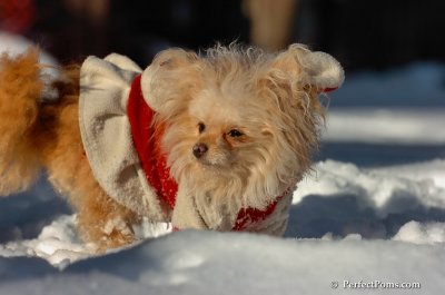 Feb7_08_408.JPG