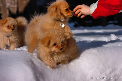 Feb7_08_409.JPG