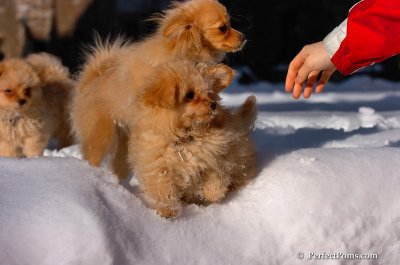 Feb7_08_410.JPG