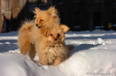 Feb7_08_412.JPG