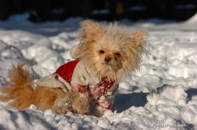 Feb7_08_414.JPG
